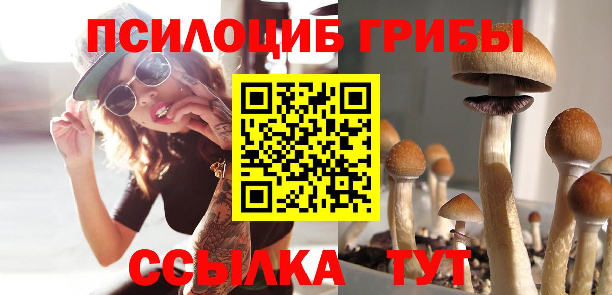 Псилоцибиновые грибы MAGIC MUSHROOMS  продажа наркотиков  Галлюциногенные грибы GOLDEN TEACHER  Тимашёвск  Вход с VPN 